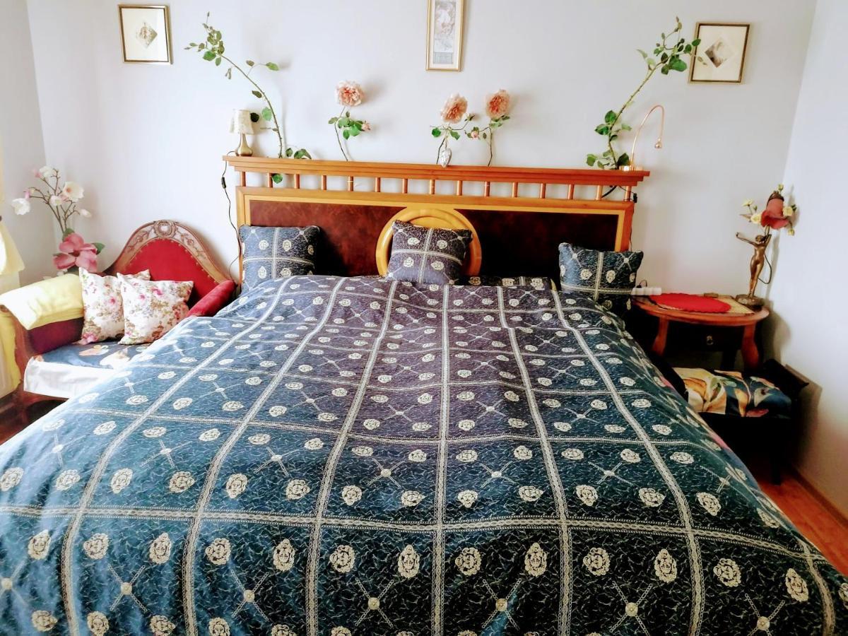 Villa Victoria Mosonmagyaróvár المظهر الخارجي الصورة